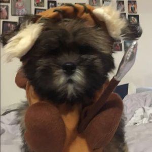 Meet your Posher, Nicole